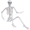 5.4ft Posable Full Body Skeleton E938331