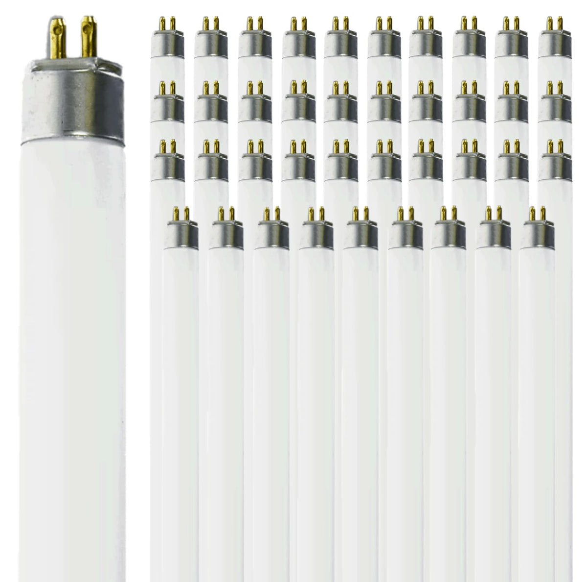 T5 Fluorescent Bulb 24 Inch 3000K Soft White 14W G5 Bipin Base Pack of 40 P5748