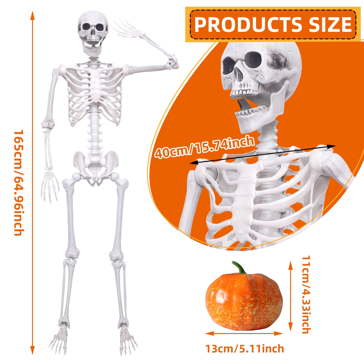 5.4ft Posable Full Body Skeleton E938331