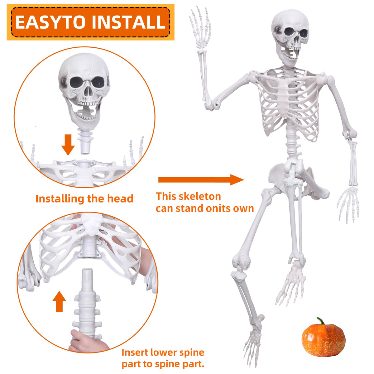 5.4ft Posable Full Body Skeleton E938331