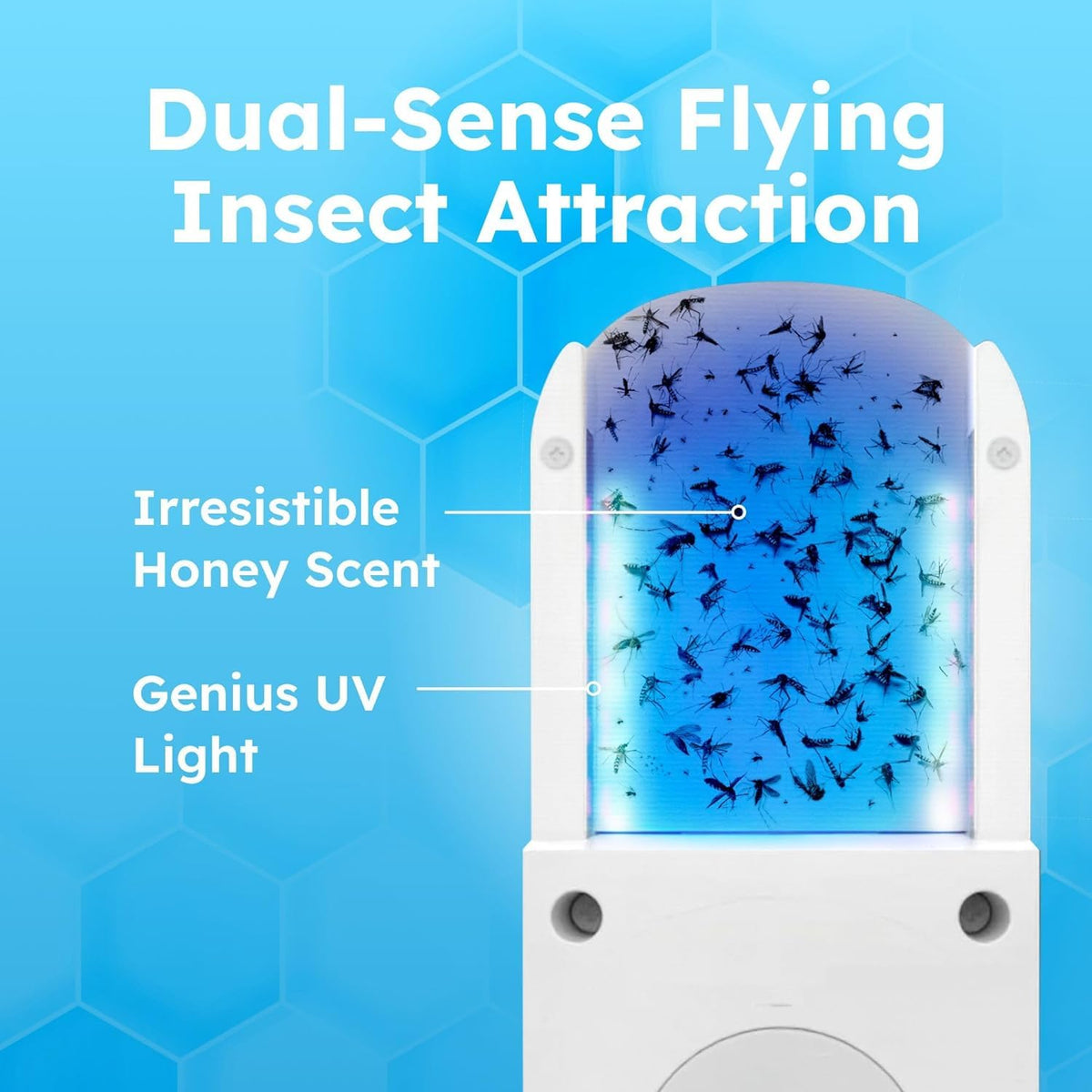 Fruit Fly Trap with UV Light W80197