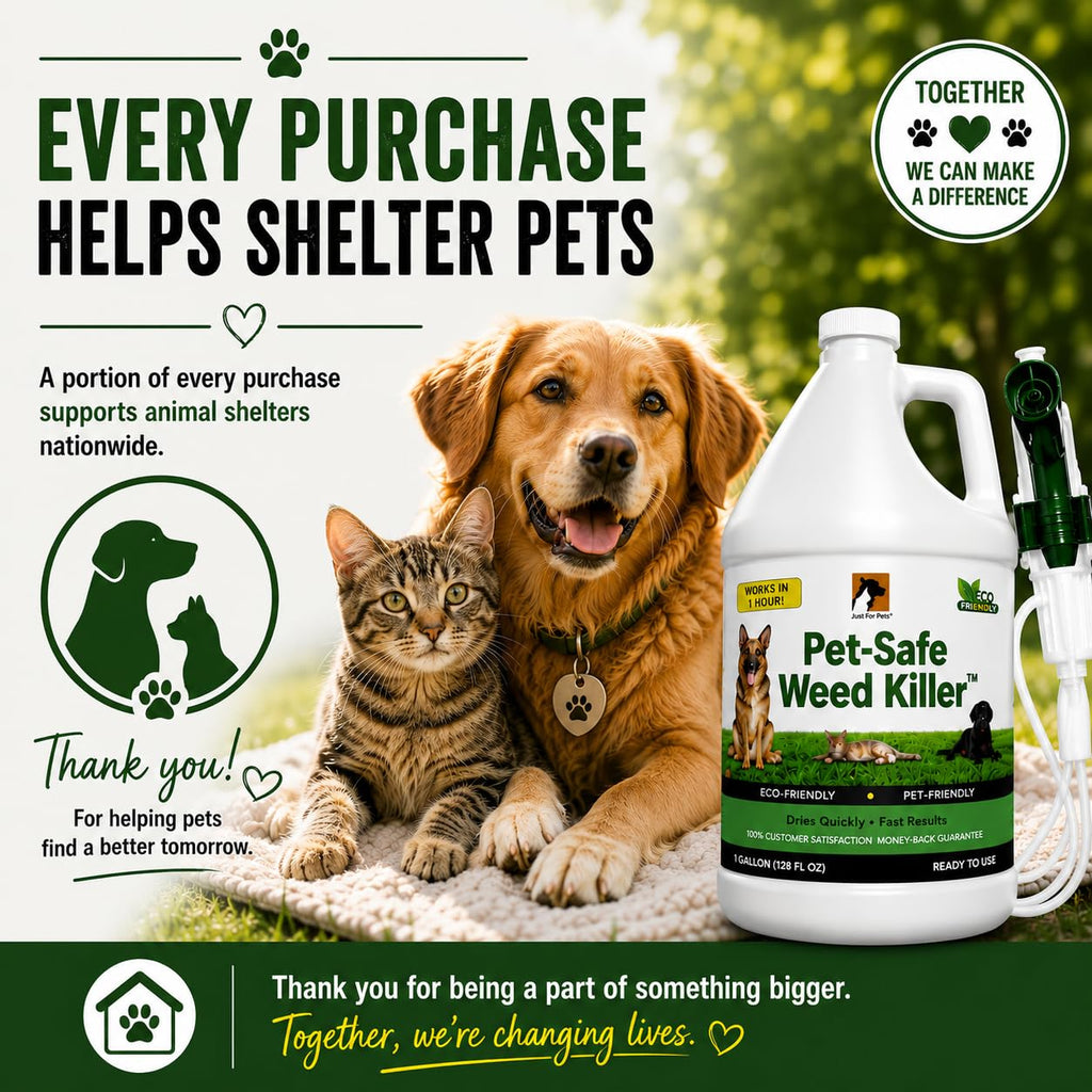 Pet Safe Weed Killer 1 Gallon with Sprayer A976