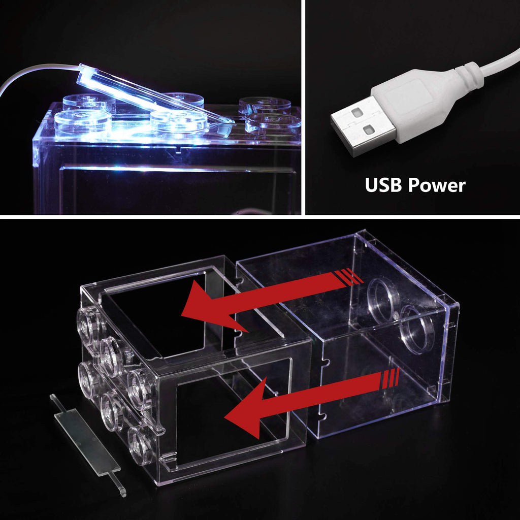 0.6 Gallon Betta Fish Tank Aquarium Kit with LED Lighting A354906