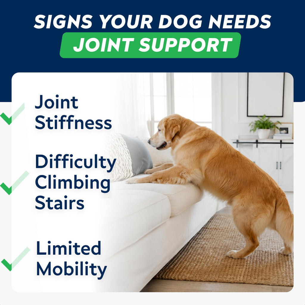 Hip Joint Supplement for Dogs P86564