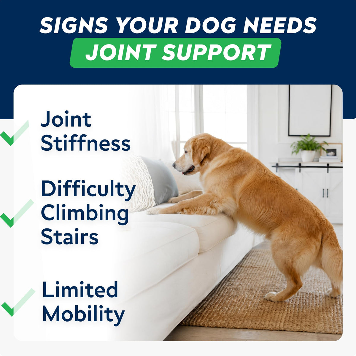 Hip Joint Supplement for Dogs P86564