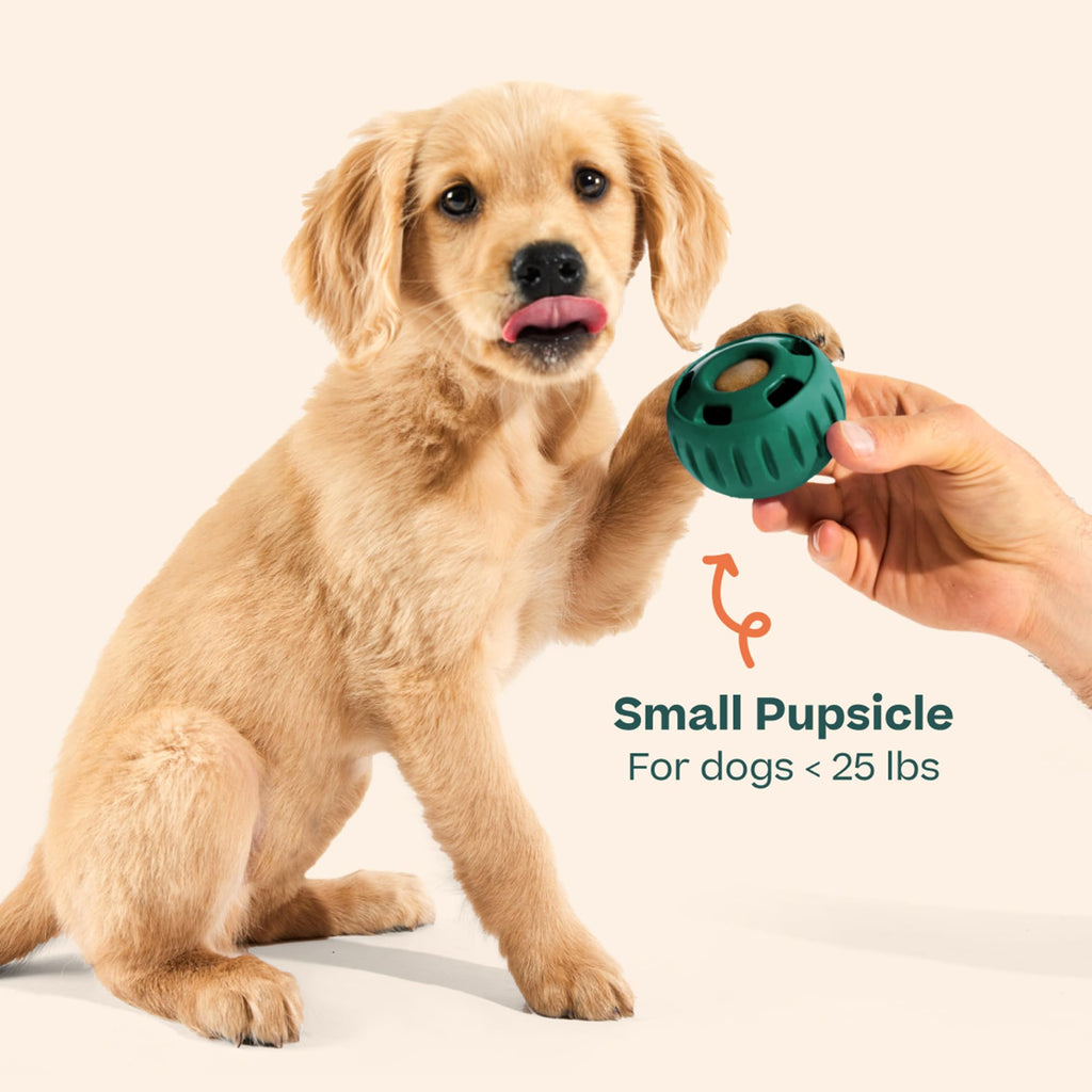 Interactive Dog Ball Toy 25-75 lbs Green M71109