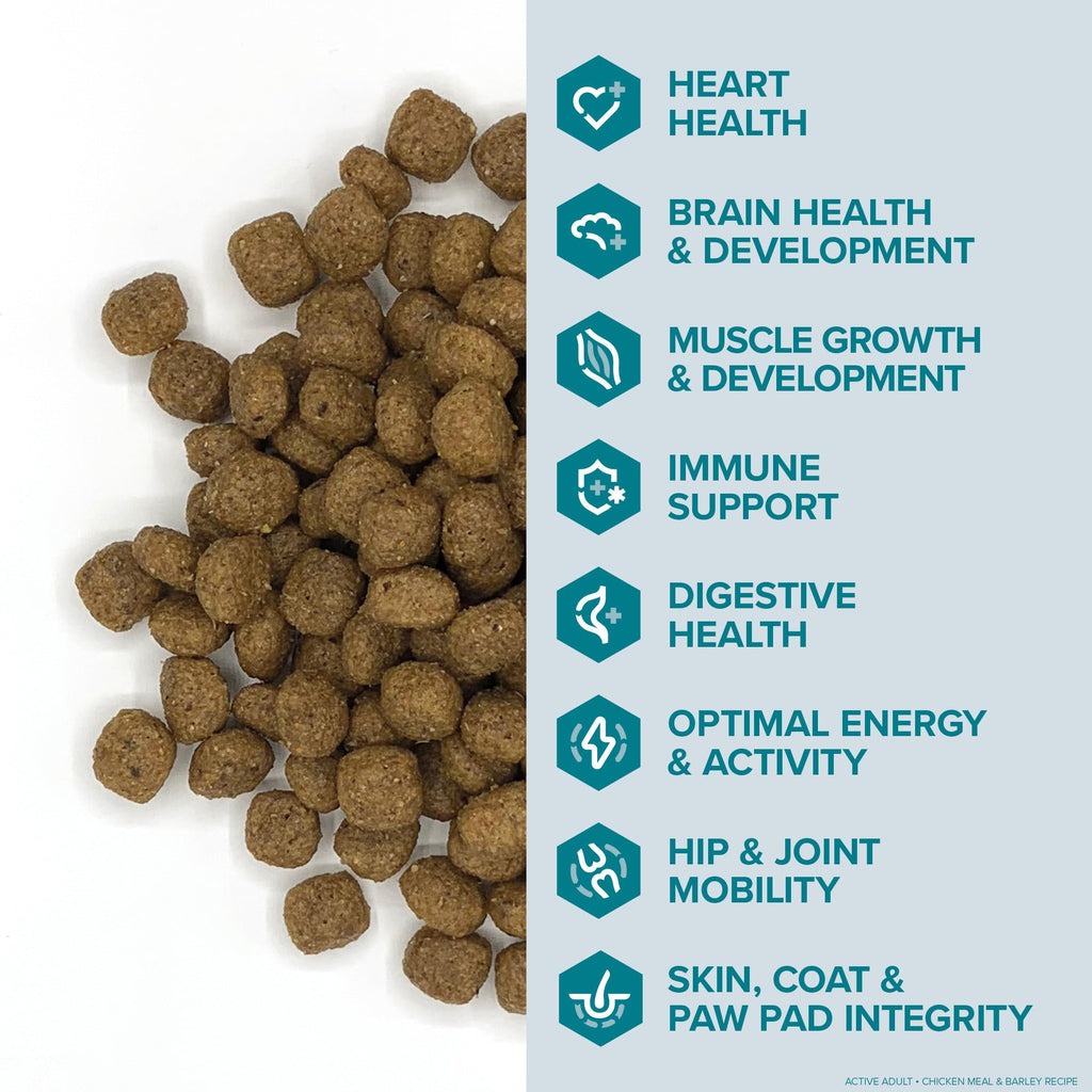 Active Dog Food Real Chicken & Barley 20 Pound Bag G76272