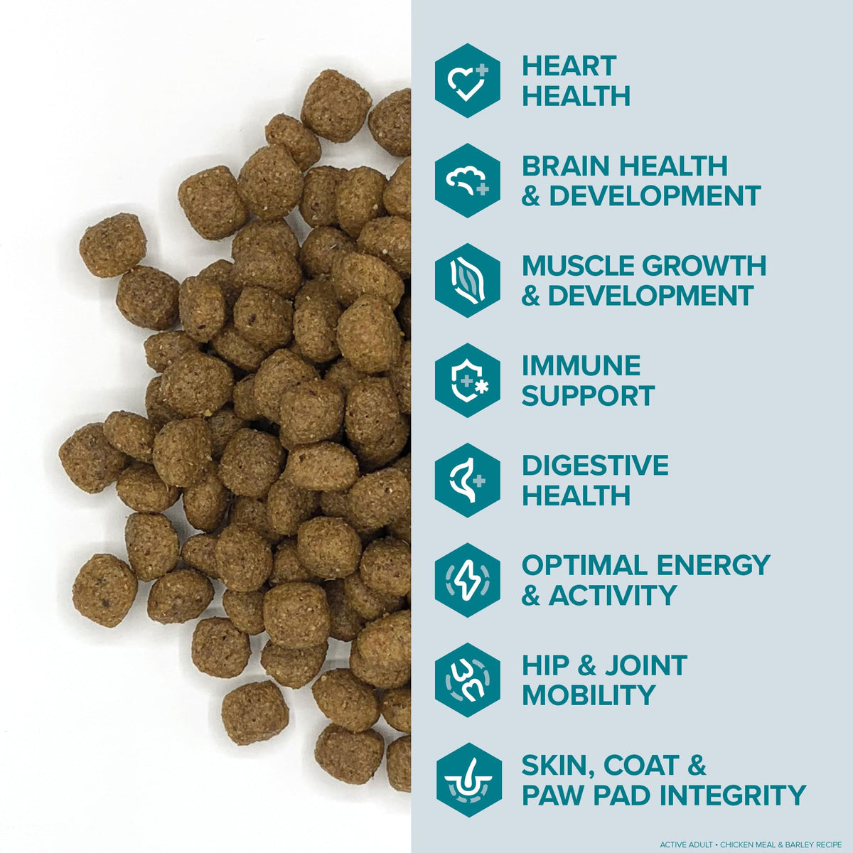 Active Dog Food Real Chicken & Barley 20 Pound Bag G76272