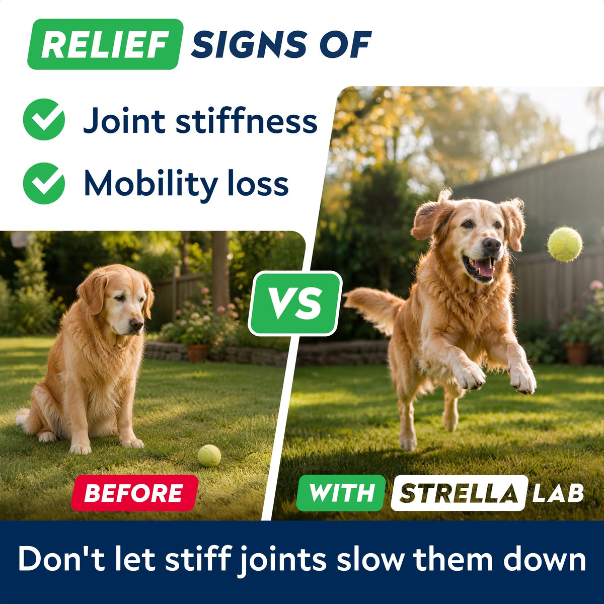 Hip Joint Supplement for Dogs P86564