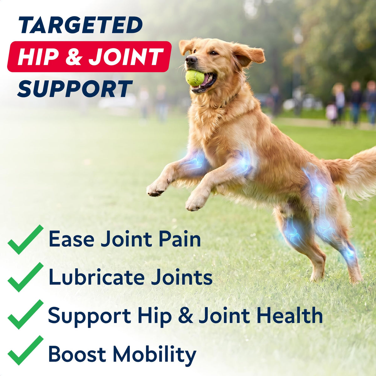 Hip Joint Supplement for Dogs P86564