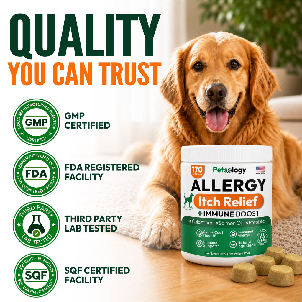 Dog Allergy Relief Chews 170 Count S326300