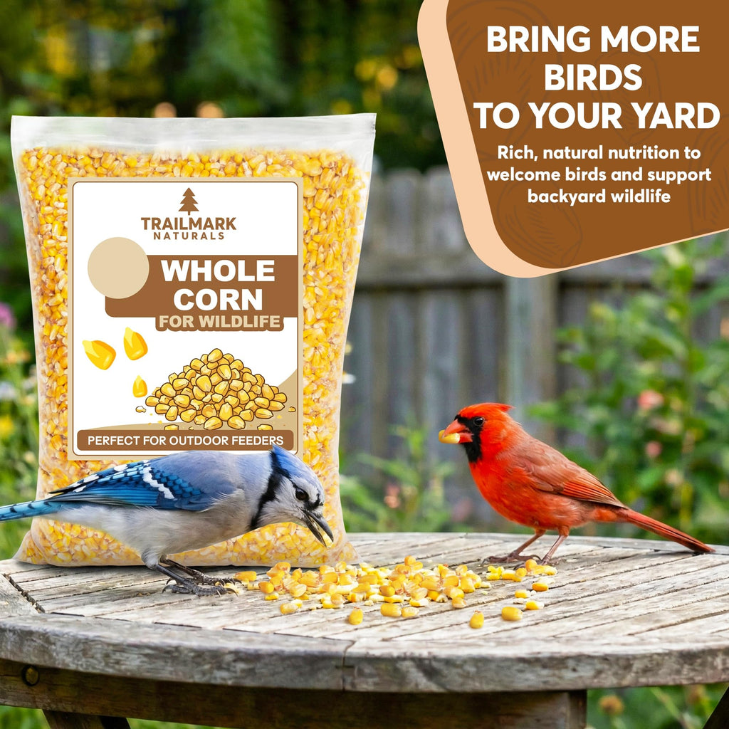 Whole Corn 20 LB Bird Seed & Wildlife Feed W778