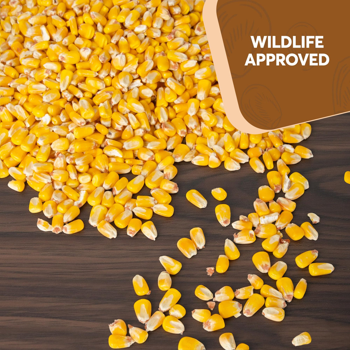 Whole Corn 20 LB Bird Seed & Wildlife Feed W778