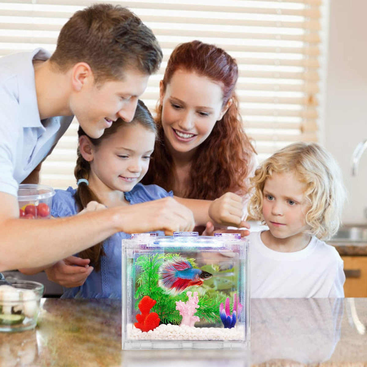 0.6 Gallon Betta Fish Tank Aquarium Kit with LED Lighting A354906