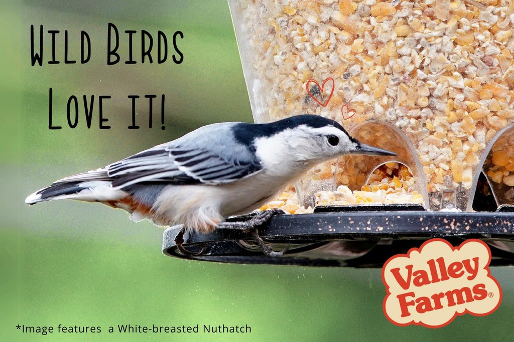 Cracked Corn Wild Bird Food 20 LB L115681