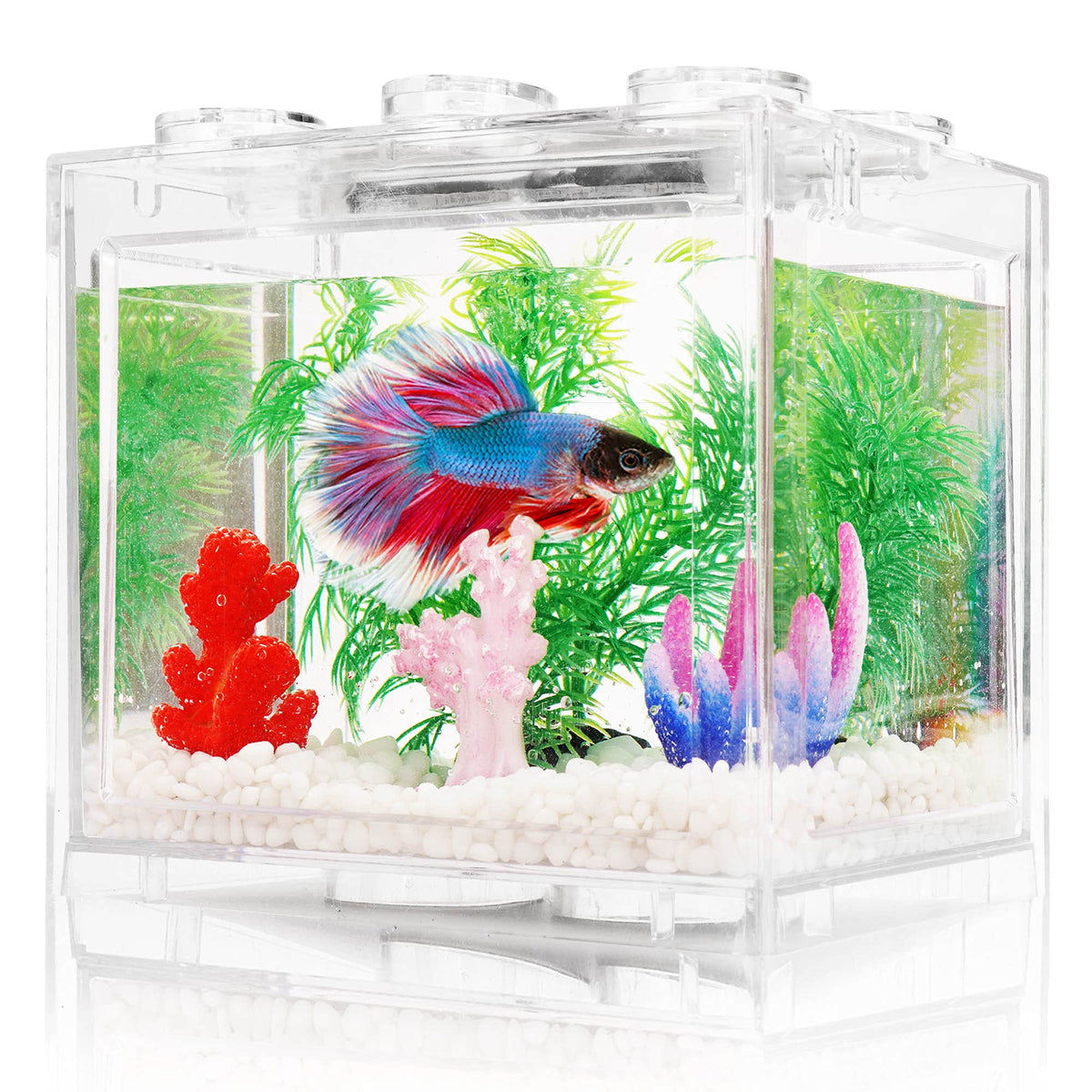 0.6 Gallon Betta Fish Tank Aquarium Kit with LED Lighting A354906