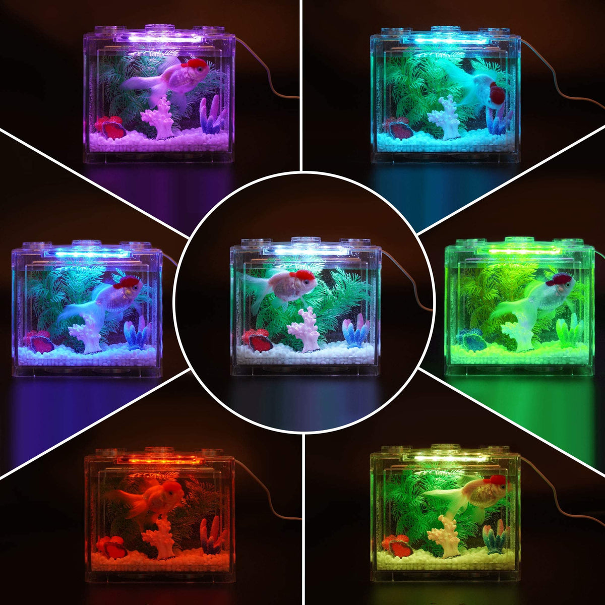 0.6 Gallon Betta Fish Tank Aquarium Kit with LED Lighting A354906