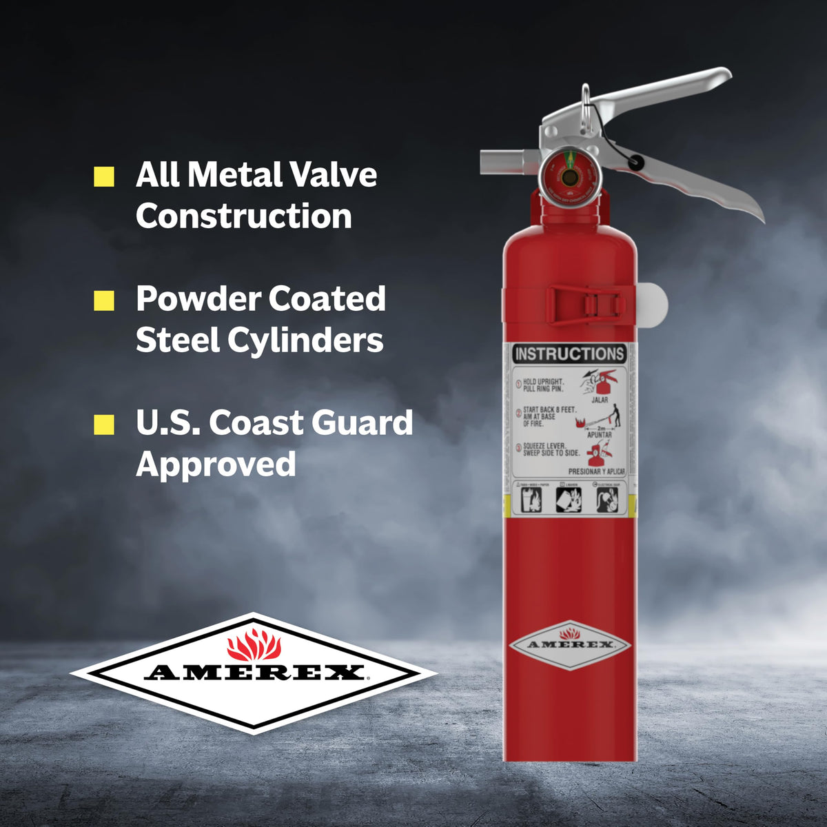 2.5 Pounds Dry Chemical Fire Extinguisher J44748
