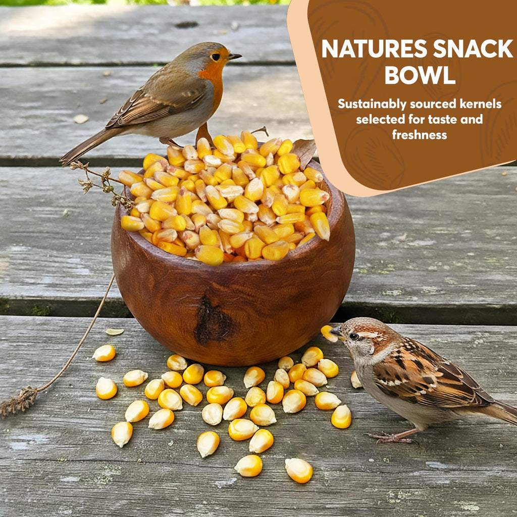 Whole Corn 20 LB Bird Seed & Wildlife Feed W778