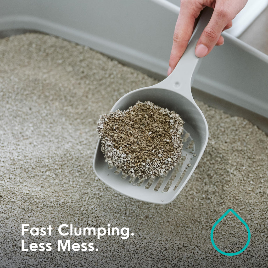Light Clumping Cat Litter 18.5 lb Unscented Low Dust P595
