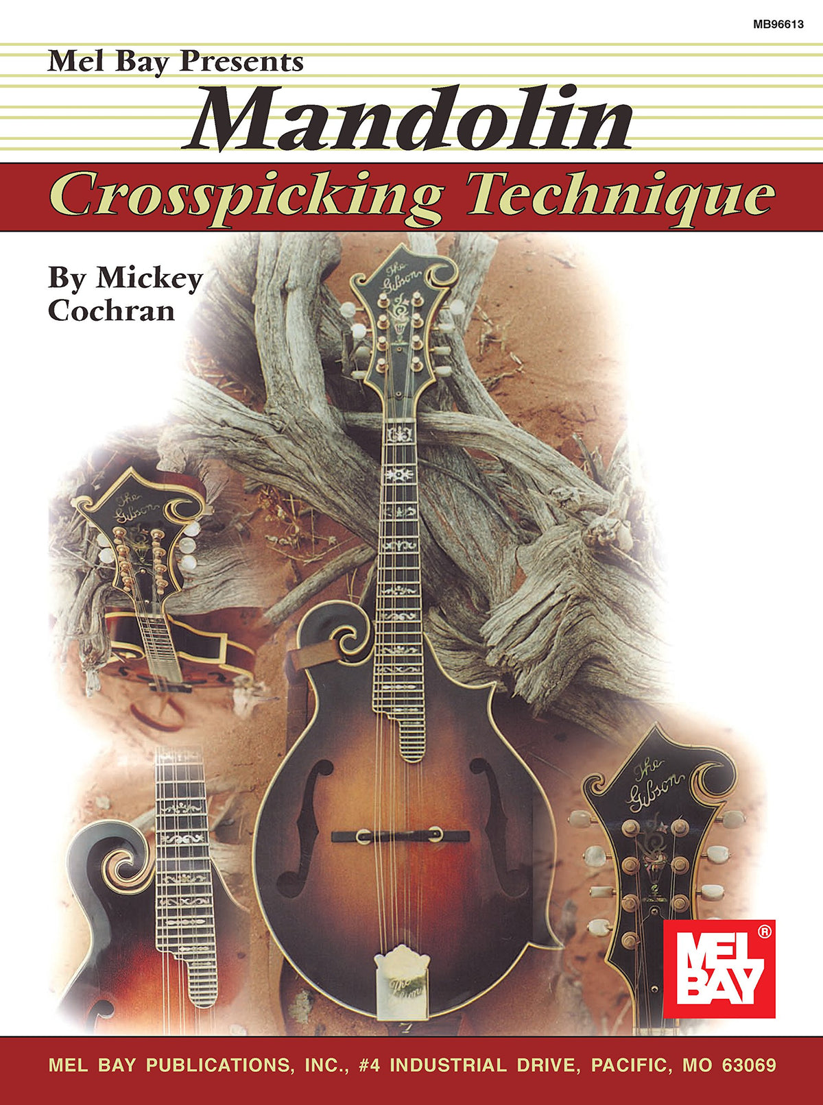Mandolin I899262